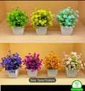 Pack of 6 Mini Artificial Plants for Room & Home Decoration